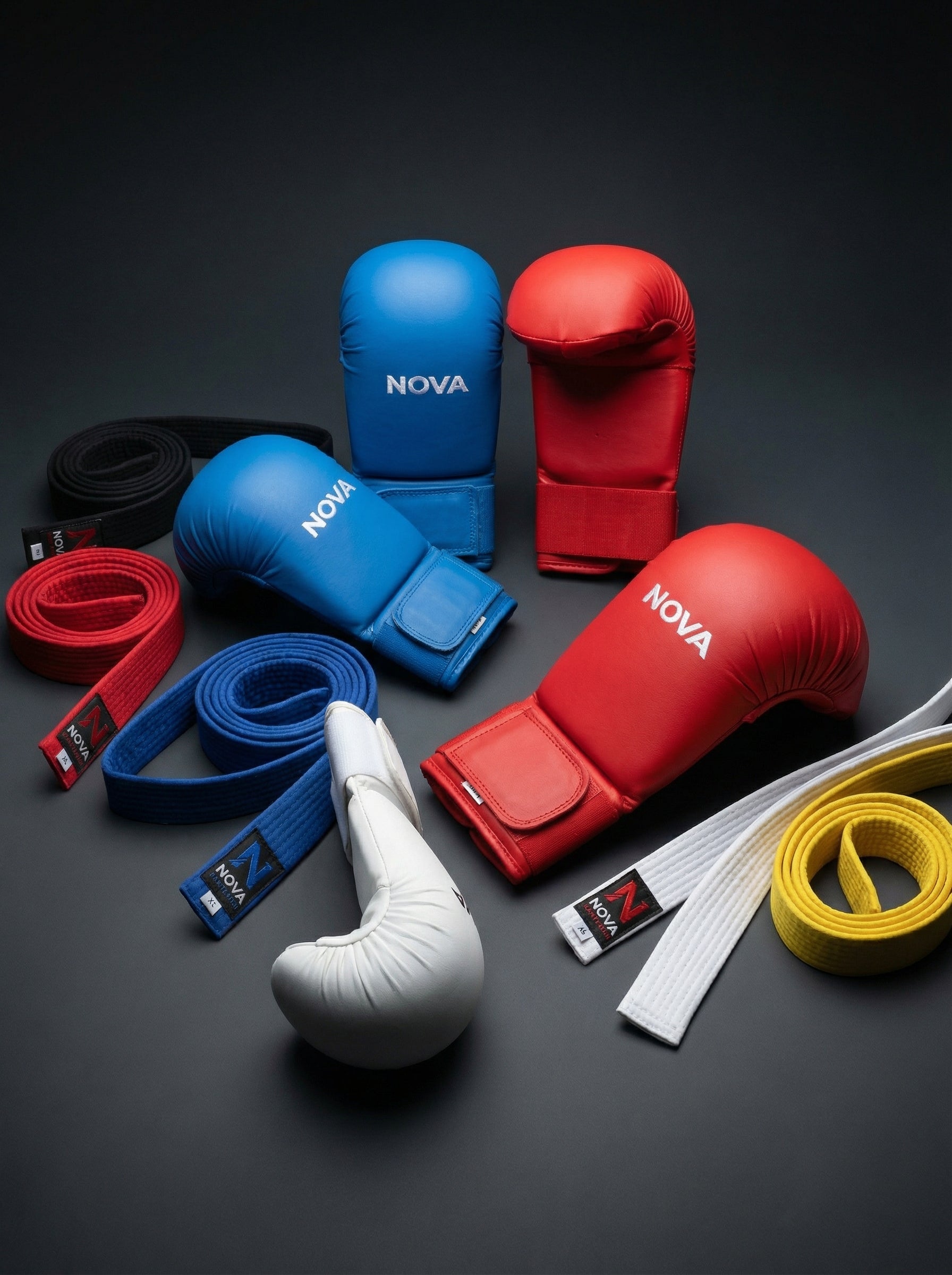 Karate Gloves – Red & Blue