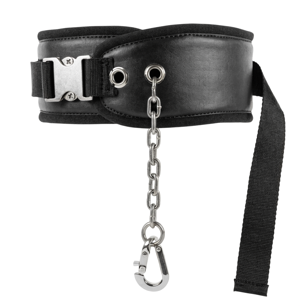 Padded weightlifting dip belt with steel chain and carabiner — pull up and dip belts at Nova Sports Mauritius — Gym from Nova Sports Mauritius
